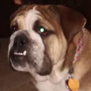 Meet your Posher, Mary lou